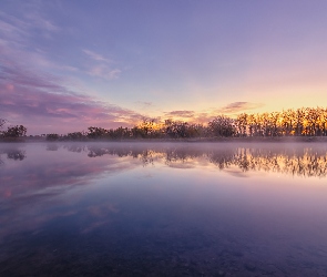 Stany Zjednoczone, Wschód słońca, Chatfield Lake, Mgła, Drzewa, Jezioro, Stan Kolorado, Park stanowy, Chatfield State Park