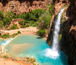 Stany Zjednoczone, Havasu Creek, Drzewa, Wielki Kanion Kolorado, Rzeka, Skały, Stan Arizona, Wodospad, Havasu Falls