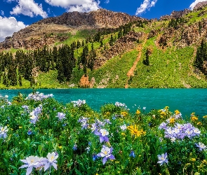 Kolorado, Niebo, Lato, Stany Zjednoczone, San Juan Mountains, Blue Lake, Jezioro, Sneffels Range, Kwiaty, Łąka, Góry, Drzewa