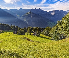 Braunwald, Alpy, Polana, Szwajcaria, Góry, Domki, Drzewa