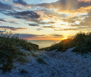 Chmury, Trawa, Morze, Niebo, Piasek, Zachód słońca, Wybrzeże