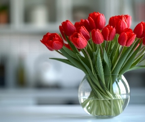 Wazon, Tulipany, Kwiaty, Czerwone