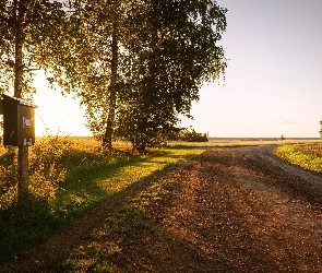 Drzewa, Skrzynka pocztowa, Droga