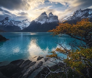 Park Narodowy Torres del Paine, Jezioro, Chile, Cordillera del Paine, Drzewa, Góry, Skały, Lake Pehoe
