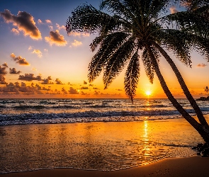 Palmy, Grafika, Zachód słońca, Morze, Plaża