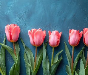 Tło, Niebieskie, Kwiaty, Tulipany