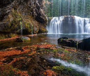 Las, Stan Waszyngton, Rzeka, Stany Zjednoczone, Lewis River, Skały, Drzewa, Wodospad Lower Lewis River Falls, Omszałe