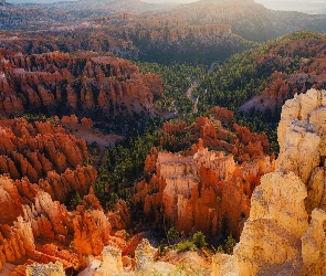 Drzewa, Skały, Utah, Stany Zjednoczone, Park Narodowy Bryce Canyon, Kanion