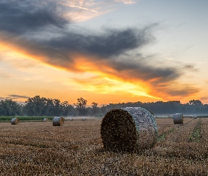 Pole, Słomy, Wschód słońca, Bele, Drzewa, Ściernisko, Chmury, Mgła