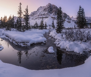 Alberta, Jezioro, Kanada, Góry, Drzewa, Park Narodowy Banff, Wschód słońca, Zima