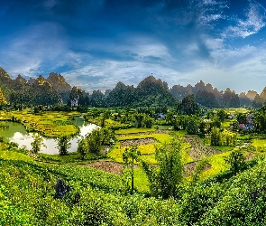 Ryżowe, Pola, Prowincja Cao Bang, Drzewa, Góry, Wietnam, Phong Nam