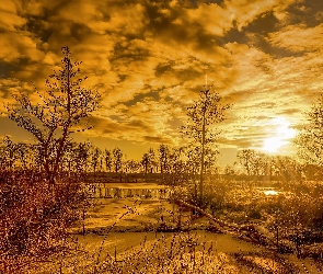 Szuwary, Drzewa, Wschód słońca, Zima, Rzeka, Śnieg