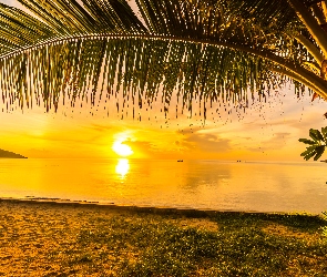 Tropiki, Plaża, Niebo, Zachód słońca, Morze, Palmy