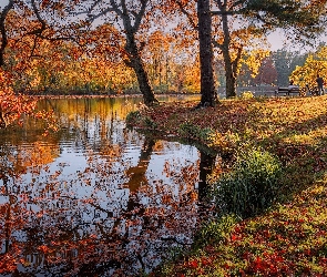 Drzewa, Jesień, Park, Jezioro