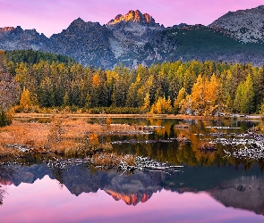 Drzewa, Jesień, Góry, Jezioro Szczyrbskie, Jezioro, Słowacja, Tatry