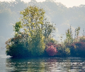 Jezioro, Mgła, Wyspa, Drzewa, Jesień