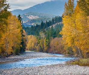 Stany Zjednoczone, Jesień, Kamienie, Stan Waszyngton, Methow River, Rzeka, Las, Drzewa, Góry Kaskadowe, Brzeg
