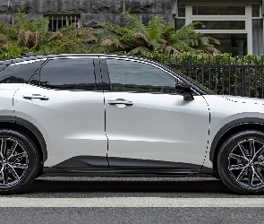 Lexus LBX, Bok