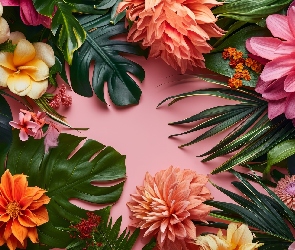 Kwiaty, Tło, Różowe, Liście, Kolorowe
