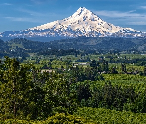 Stan Oregon, Miejscowość Hood River, Mount Hood, Stany Zjednoczone, Drzewa, Góra, Domy