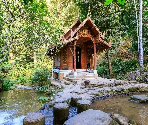 Kaplica środkowa, Chiang Mai, Rośliny, Tajlandia, Mae Kampong, Strumień, Świątynia Wat Khantha Phueksa, Las, Drzewa