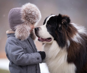 Pies, Przyjaźń, Dziecko