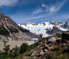Rośliny, Drzewa, Śnieg, Góry, Jezioro, Kamienie