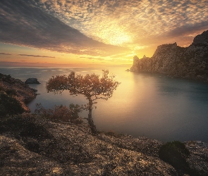 Zachód słońca, Chmury, Skały, Krym, Sosna, Morze, Wybrzeże