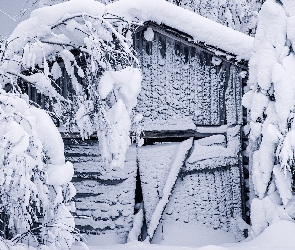 Dom, Szopa, Ośnieżone, Zima, Drzewa, Ośnieżona