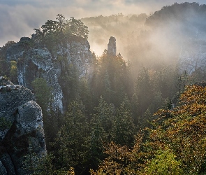Czechy, Czeski Raj, Skalne Miasto, Góry Stołowe, Hruboskalsko, Formacje skalne, Mgła, Skały, Wschód słońca, Drzewa