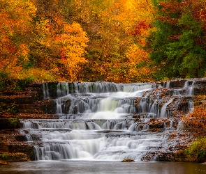 Kolorowe, Las, Wodospad, Drzewa, Jesień