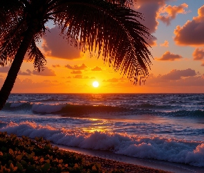 Grafika AI, Zachód słońca, Palma, Morze