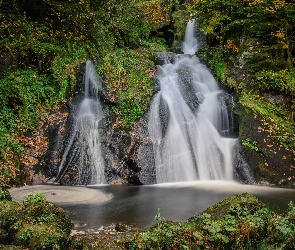 Skały, Kamienie, Rzeka, Las, Wodospad
