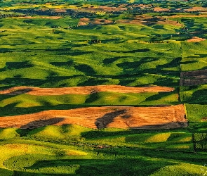 Łąki, Pola, Stan Waszyngton, Stany Zjednoczone, Palouse, Wzgórza