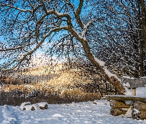 Ośnieżone, Śnieg, Ławka, Drzewa, Zima