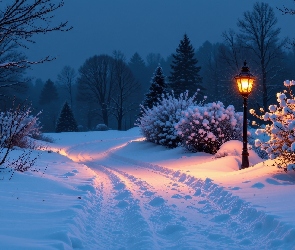 Drzewa, Krzewy, Noc, Latarnia, Droga, Zima, Ośnieżona