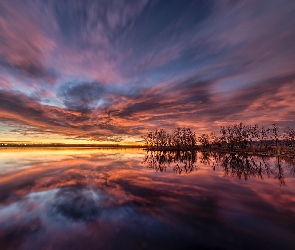 Jezioro, Drzewa, Zachód słońca, Chmury, Kolorado, Lake Chatfield, Stany Zjednoczone, Park stanowy Chatfield