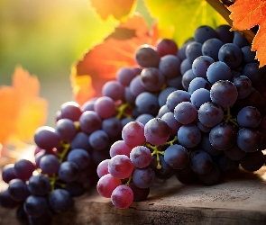 Owoc, Grafika, Światło, Kiść, Winogrona