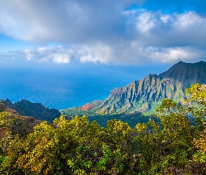 Stany Zjednoczone, Chmury, Niebo, Drzewa, Białe, Góry, Hawaje, Dolina, Kalalau Valley