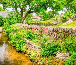 Drzewa, Murek, Kwiaty, Rzeczka, Domy