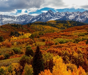 Stany Zjednoczone, Dallas Divide, Przełęcz, Kolorado, Chmury, Drzewa, Jesień, Góry, Las, San Juan Mountains