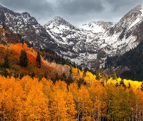 Chmury, Drzewa, Góry, Jesień, Las, Pożółkłe