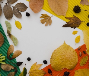 Kolorowe, Kolorowe, Tło, Liście, Jesienne