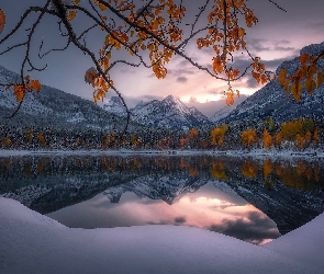 Kanada, Drzewo, Zima, Galęzie, Śnieg, Jezioro, Alberta, Góry, Canadian Rockies