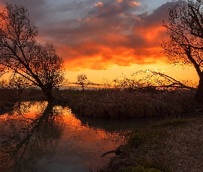 Szuwary, Rzeka, Zachód słońca, Drzewa