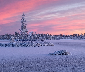 Chmury, Drzewa, Karelia, Zima, Ładoga, Rosja, Jezioro
