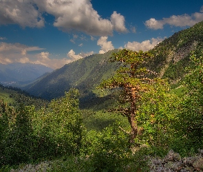 Zachód słońca, Dolina, Las, Chmury, Kamienie, Góry, Drzewa