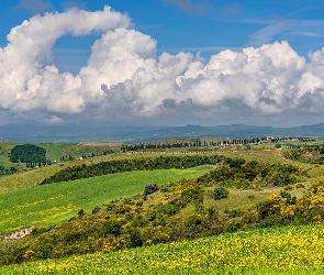 Toskania, Drzewa, Włochy, Domy, Łąki, Wzgórza, Chmury, Pola