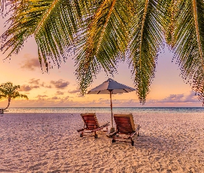 Morze, Chmury, Palmy, Lato, Liście, Parasol, Plaża, Piasek, Leżaki