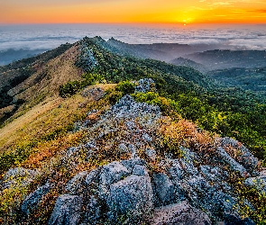 Stany Zjednoczone, Mgła, Lasy, Zachód słońca, Roślinność, Skały, Kalifornia, Park Stanowy Fremont Peak, Góry